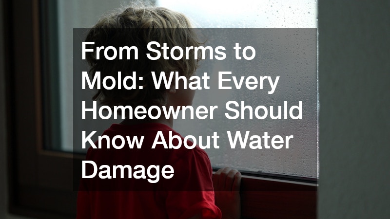 From Storms to Mold: What Every Homeowner Should Know About Water Damage