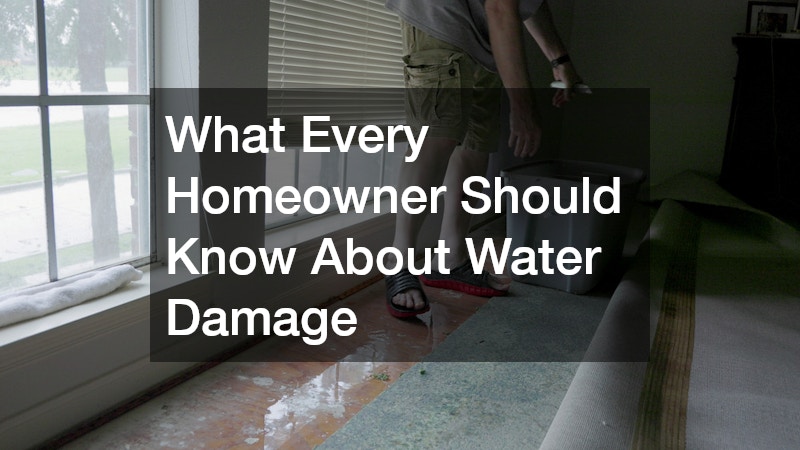 What Every Homeowner Should Know About Water Damage