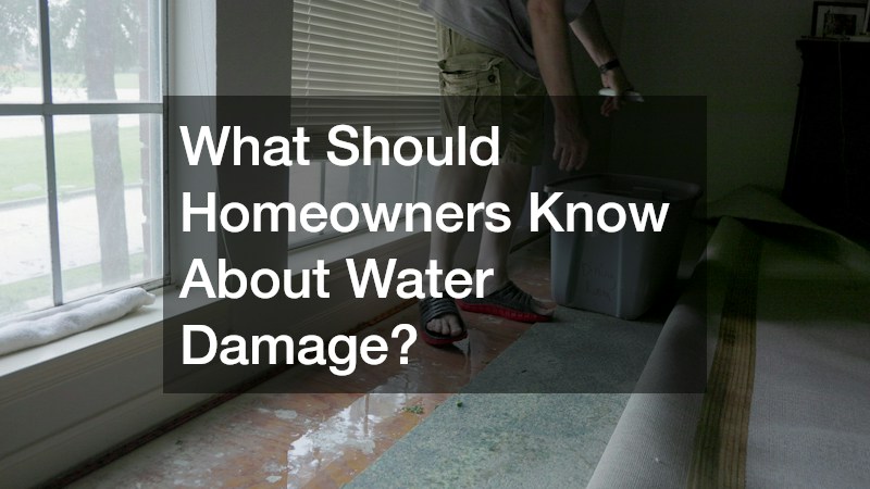 What Should Homeowners Know About Water Damage?